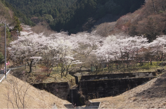 鐘ヶ坂公園